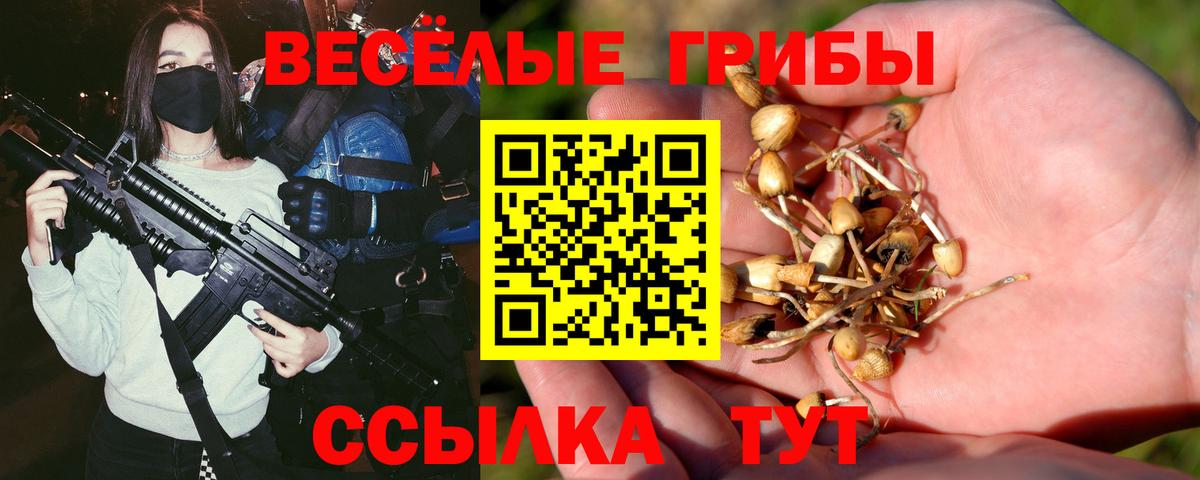 Галлюциногенные грибы Psilocybe  Псилоцибиновые грибы прущие грибы  Вход с VPN  Скопин 